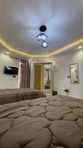 Distinctive studio for rent